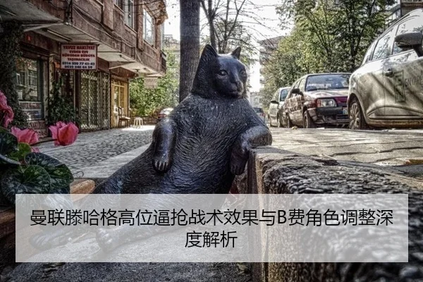 man-lian-teng-ha-ge-gao-wei-bi-qiang-zhan-shu-xiao-guo-yu-fei-jue-se-tiao-zheng-shen-du-jie-xi-3-351.jpg