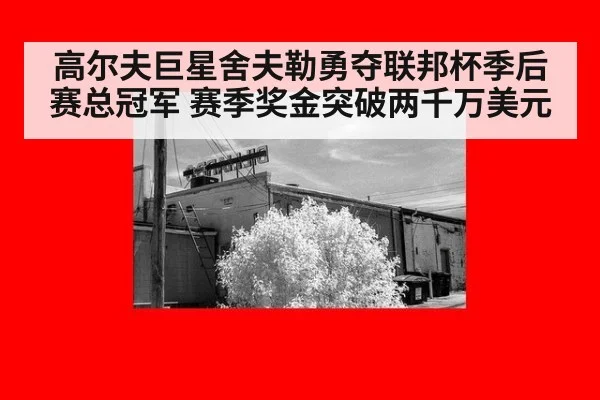 高尔夫巨星舍夫勒勇夺联邦杯季后赛总冠军 赛季奖金突破两千万美元