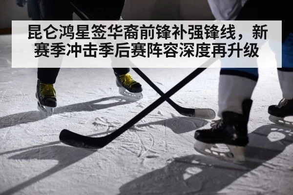 昆仑鸿星签华裔前锋补强锋线,新赛季冲击季后赛阵容深度再升级