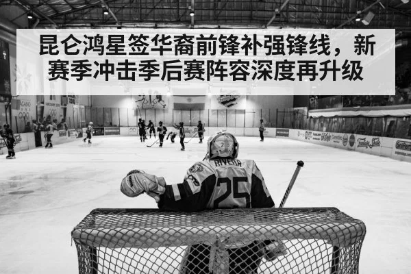 hockey arena match